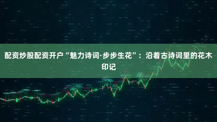 配资炒股配资开户“魅力诗词·步步生花”：沿着古诗词里的花木印记