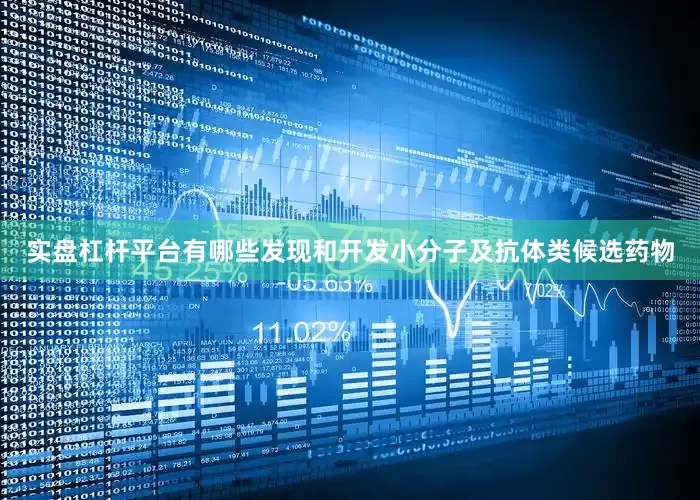 实盘杠杆平台有哪些发现和开发小分子及抗体类候选药物